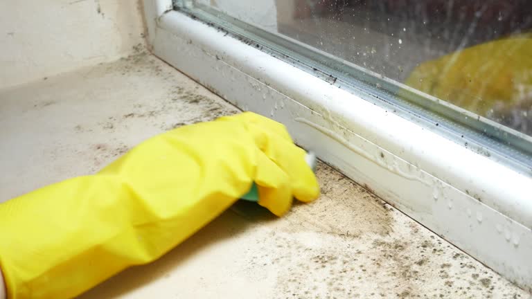 Asbestos and Lead Testing During Mold Inspection